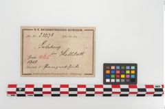 Etiketten zu Bronzephalere (NHMW-PRAE-025078)